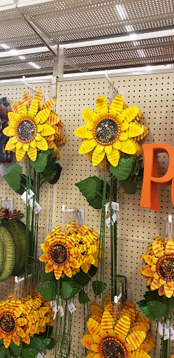 Craft Store «Hobby Lobby», reviews and photos, 5163 Hinkleville Rd, Paducah, KY 42001, USA