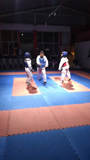 AMERICAN TEAM TAEKWONDO