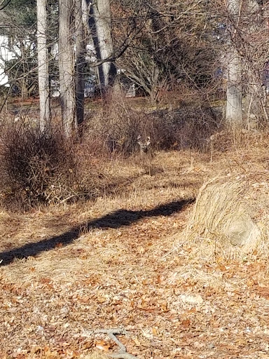 Recreation Center «Clark Recreation Center», reviews and photos, 59 Campbell Ave, Airmont, NY 10901, USA