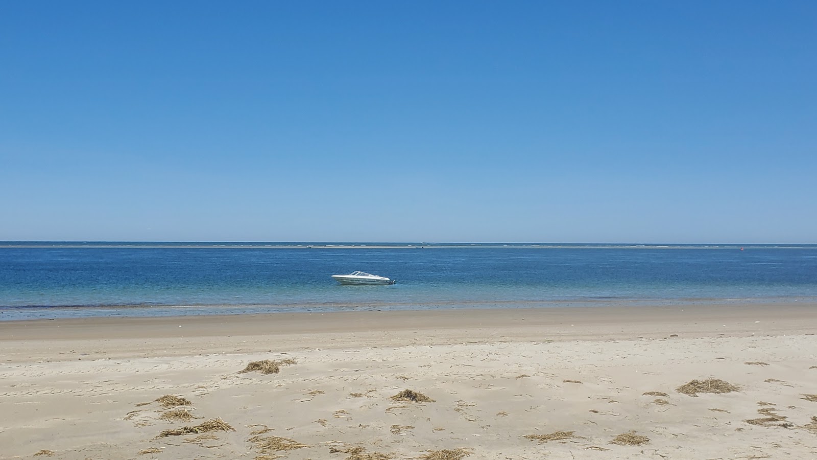 Foto de Praia da Crane - bom local amigável para animais de estimação para férias