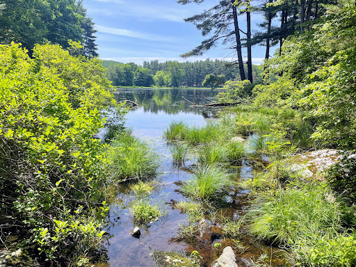 Park «Dater Mountain nature Park And Harriman State Park», reviews and photos, Johnsontown Rd, Sloatsburg, NY 10974, USA