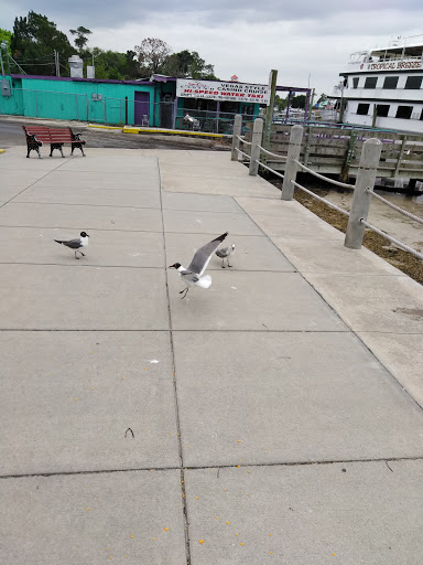 Casino «Sun Cruz Casino», reviews and photos, 7917 Bayview St, Port Richey, FL 34668, USA