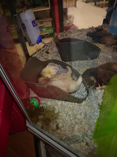 Pet Supply Store «Petco Animal Supplies», reviews and photos, 187 Stonebrook Pl, Jackson, TN 38305, USA