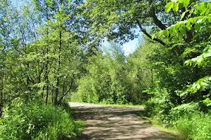 Råstasjöns naturreservat image