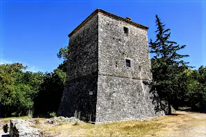 Venetian Tower image