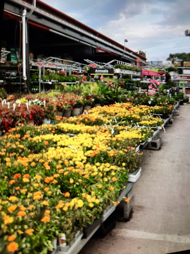 Home Improvement Store «The Home Depot», reviews and photos, 615 Arsenal St, Watertown, MA 02472, USA