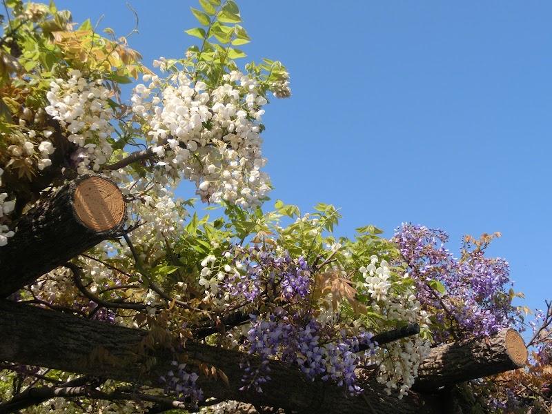 渋川公園 岡山県玉野市渋川 公園 公園 グルコミ