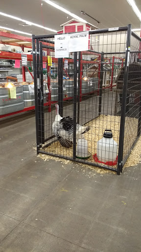 Department Store «Rural King», reviews and photos, 3201 IN-45, Bloomington, IN 47403, USA