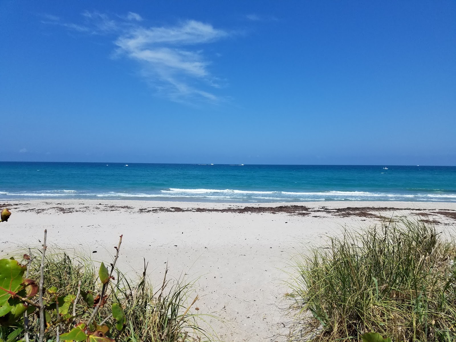 Foto av Jupiter Beach med lång rak strand