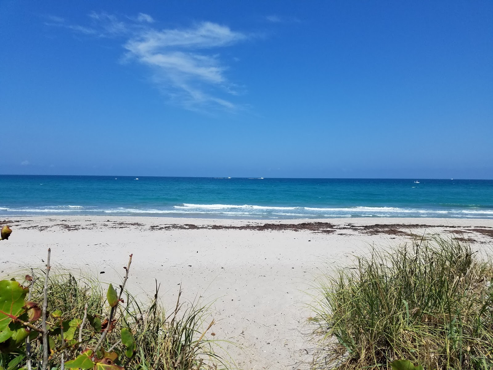 Photo de Jupiter Beach avec l'eau cristalline de surface