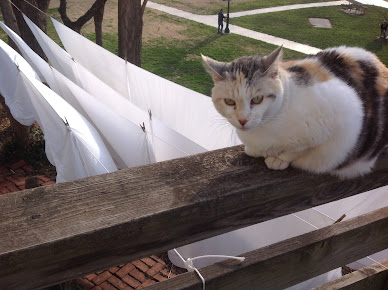 Touchwork of Weston Massage Therapy