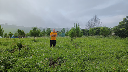 Nest Farm - Nông Trại Tổ Chim