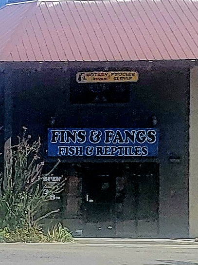 Fins & Fangs
