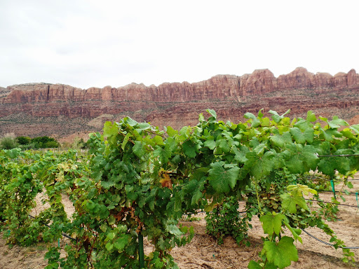 Winery «Spanish Valley Vineyard & Winery», reviews and photos, 4710 Zimmerman Ln, Moab, UT 84532, USA