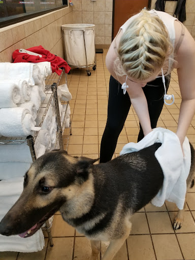 Pet Supply Store «Pet Supplies Plus», reviews and photos, 200 N Coit Rd Suite 330, Richardson, TX 75080, USA