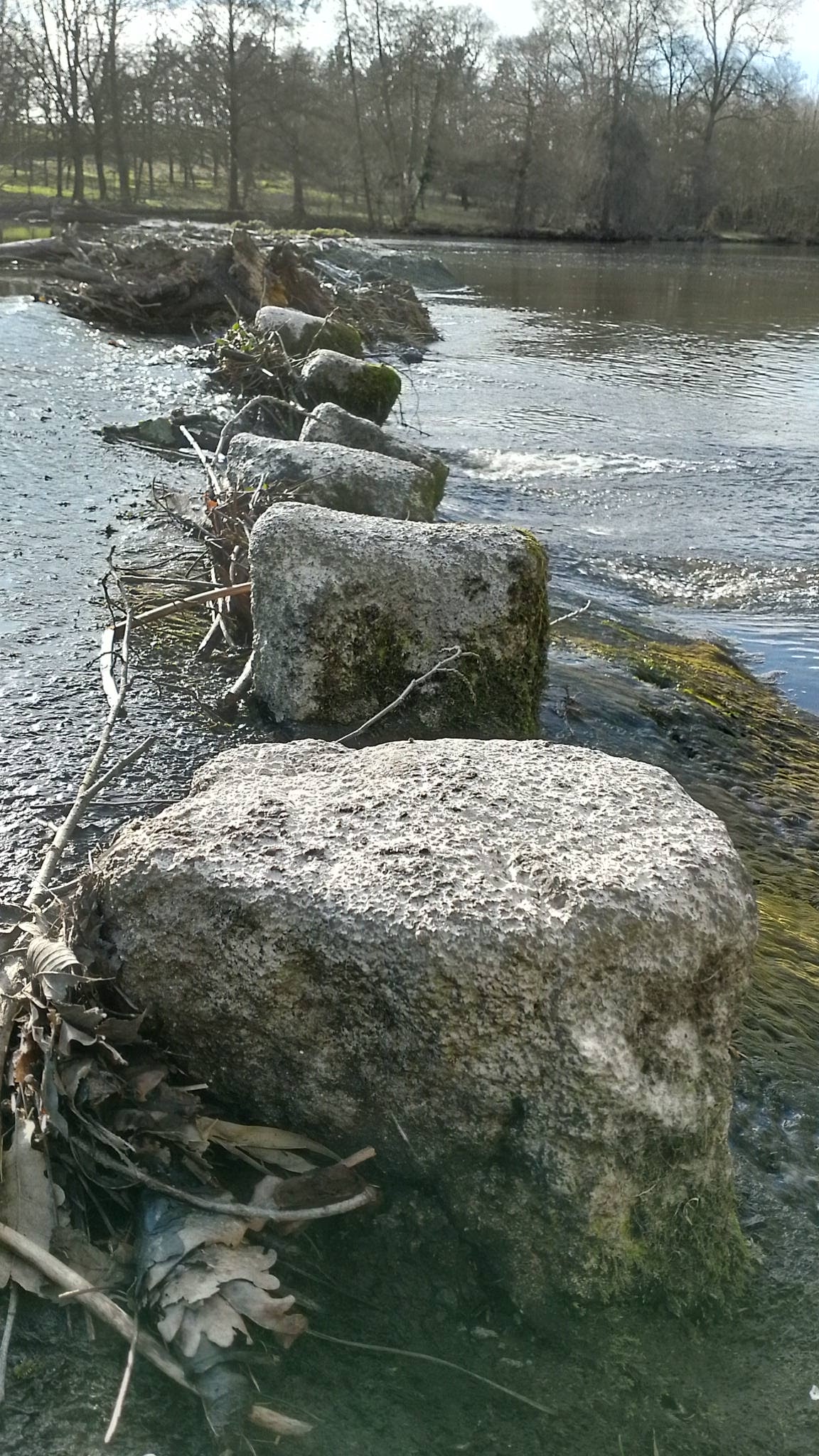 Photo n° 1 de l'avis de Thierry.e fait le 22/02/2023 à 19:32