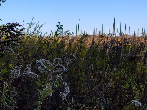 Bird Watching Area «Haehnle Sanctuary», reviews and photos, Seymour Rd, Pleasant Lake, MI 49272, USA