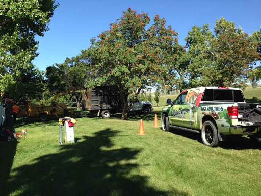 Calgary Tree Experts