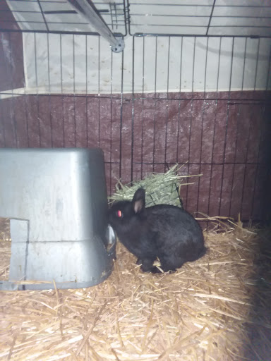 Home Improvement Store «Tractor Supply Co.», reviews and photos, 321 N 3rd St, Oxford, PA 19363, USA