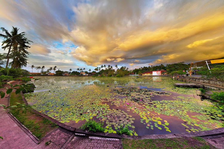 Taman Bunga Teratai