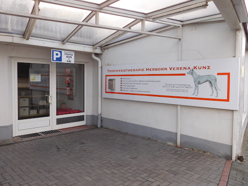 Tierphysiotherapie Herborn unter Herborn, 