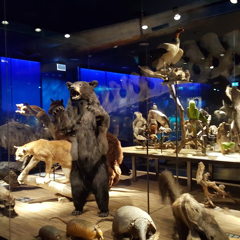 Musée d'histoire naturelle