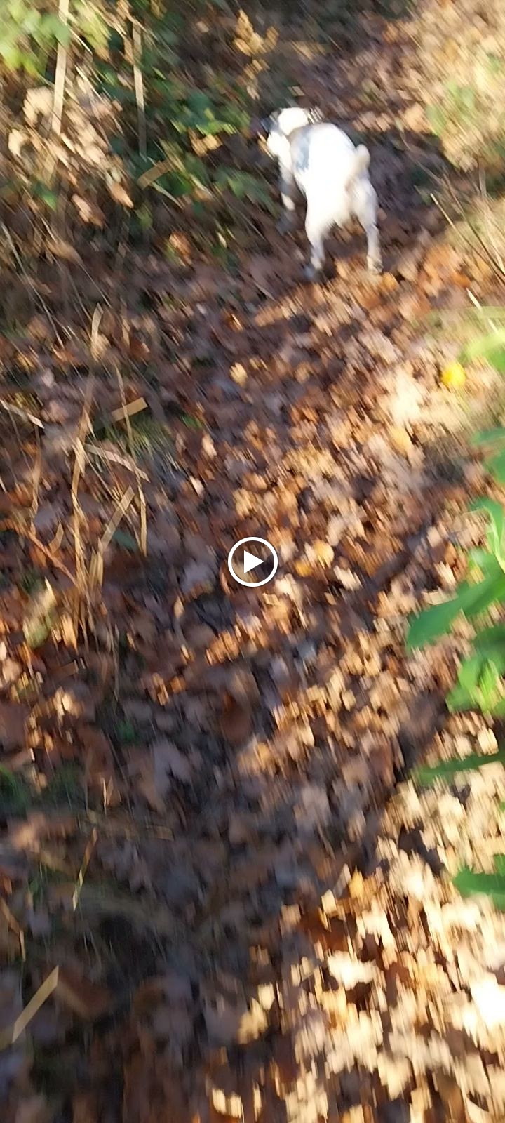 Photo n° 2 de l'avis de Sosso.a fait le 02/01/2024 à 12:07