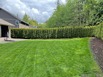 Wise RedWood Lawn Care Services - Photo 8 - Car repair in Lynden, WA, Bellingham