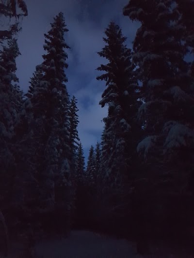 Photos of Fjellheim Camping