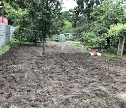 Vision Dienstleistungen photo