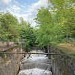 Mountain Locks Park