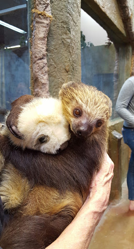 Pet Store «Lost Realms Pets», reviews and photos, 8059 N Cedar Ave, Fresno, CA 93720, USA