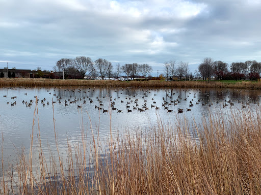 Insurance Company «ACUITY», reviews and photos