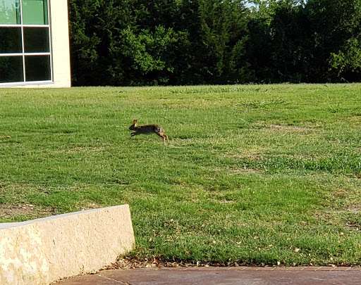 Recreation Center «Cedar Hill Recreation Center», reviews and photos, 310 East Parkerville Road, Cedar Hill, TX 75104, USA