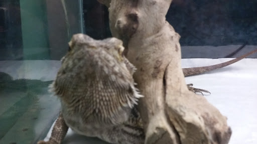 Pet Supply Store «Rutser Pet Store», reviews and photos, 5418 E Beverly Blvd, East Los Angeles, CA 90022, USA