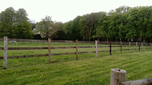 Haras des Bréviaires à Les Bréviaires