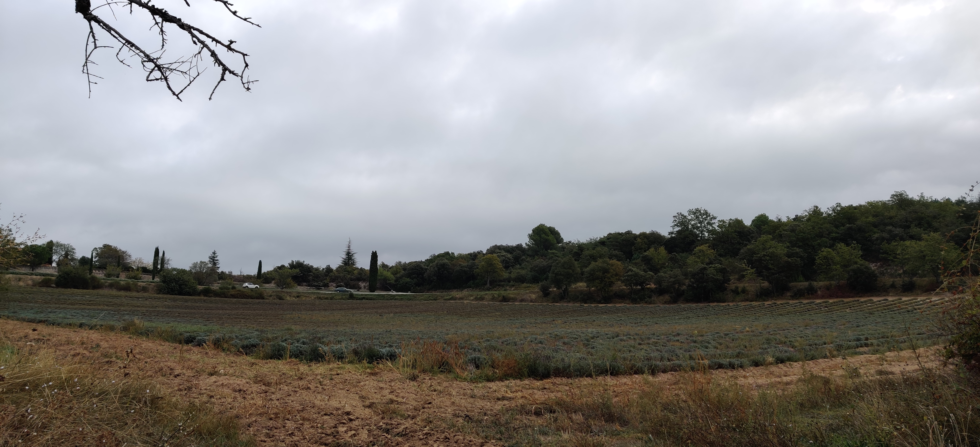 Photo n° 3 de l'avis de jean-pierre.a fait le 14/10/2023 à 12:18
