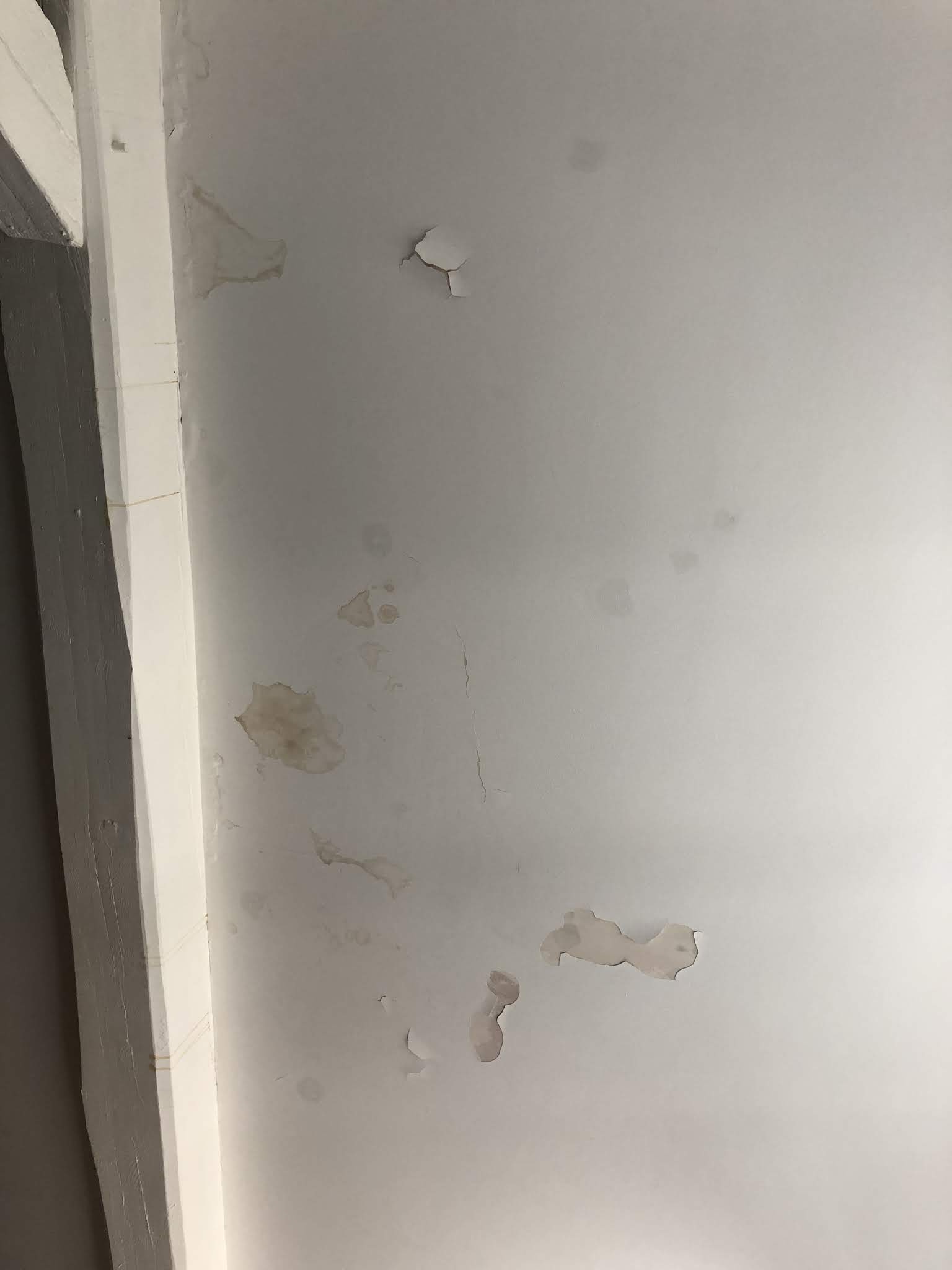 Photo n° 2 de l'avis de GLANCER.o fait le 14/08/2019 à 14:36