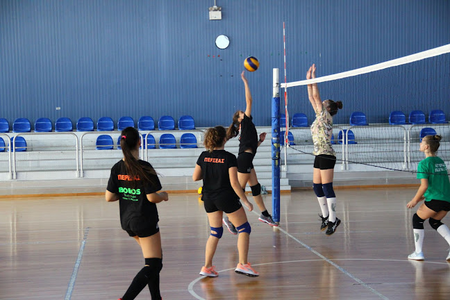 Δημοτικό Κλειστό Γυμναστήριο ΚΑΠΠΑ 2000