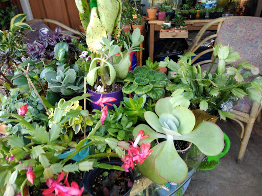 Hardware Store «Ace Hardware», reviews and photos, 3636 S Washington Ave, Titusville, FL 32780, USA