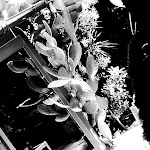 Photo n°12 de l'avis de Sara.o fait le 01/07/2018 à 15:56 sur le  Hotel Atlantic à Marina di Carrara