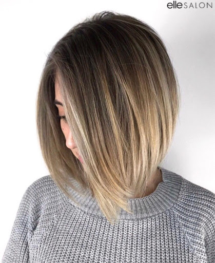 Beauty Salon «Elle Salon Inc», reviews and photos, 2490 Bushwood Dr, Elgin, IL 60124, USA