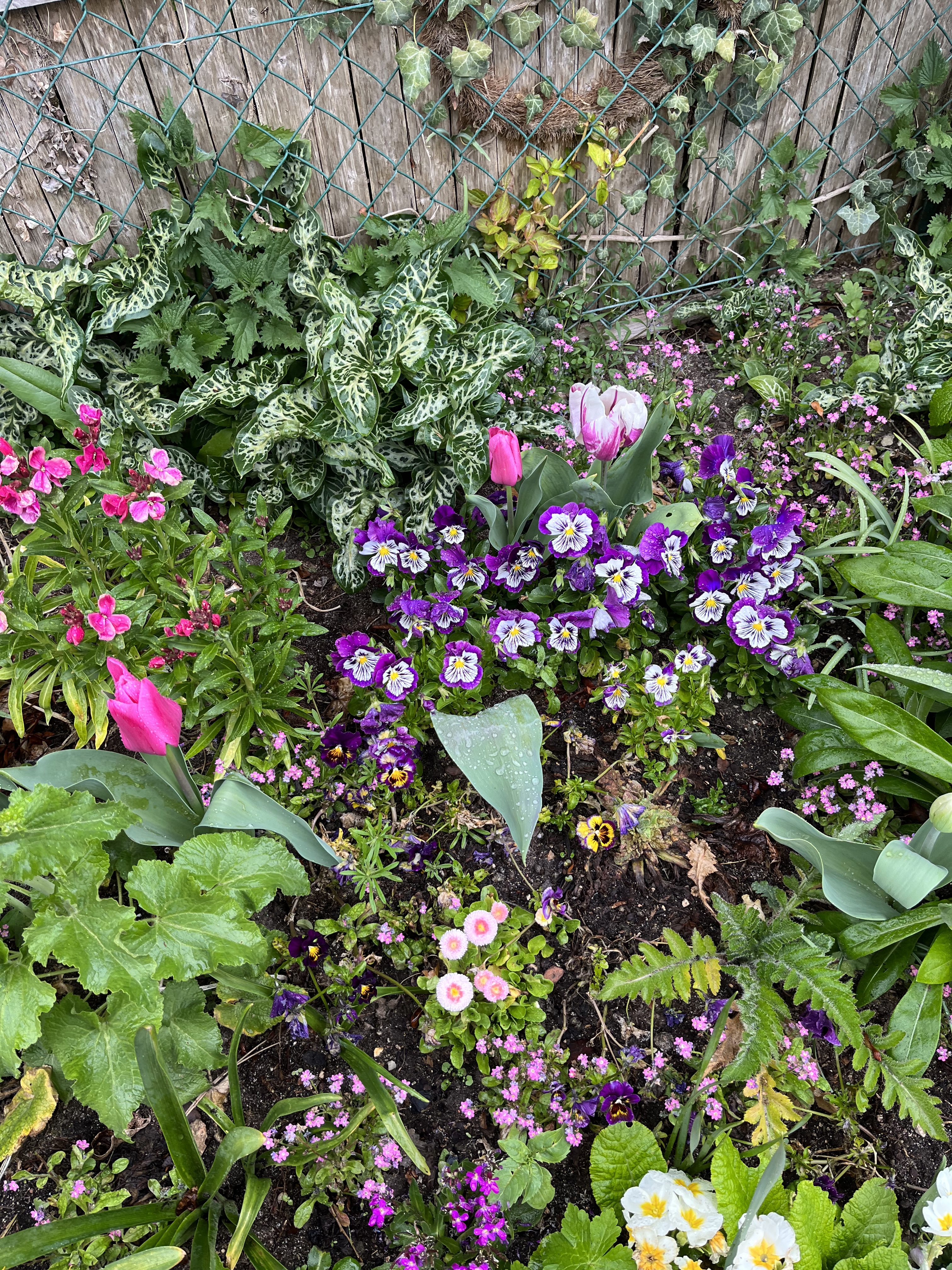 Photo n° 3 de l'avis de sand.r fait le 30/04/2023 à 14:20