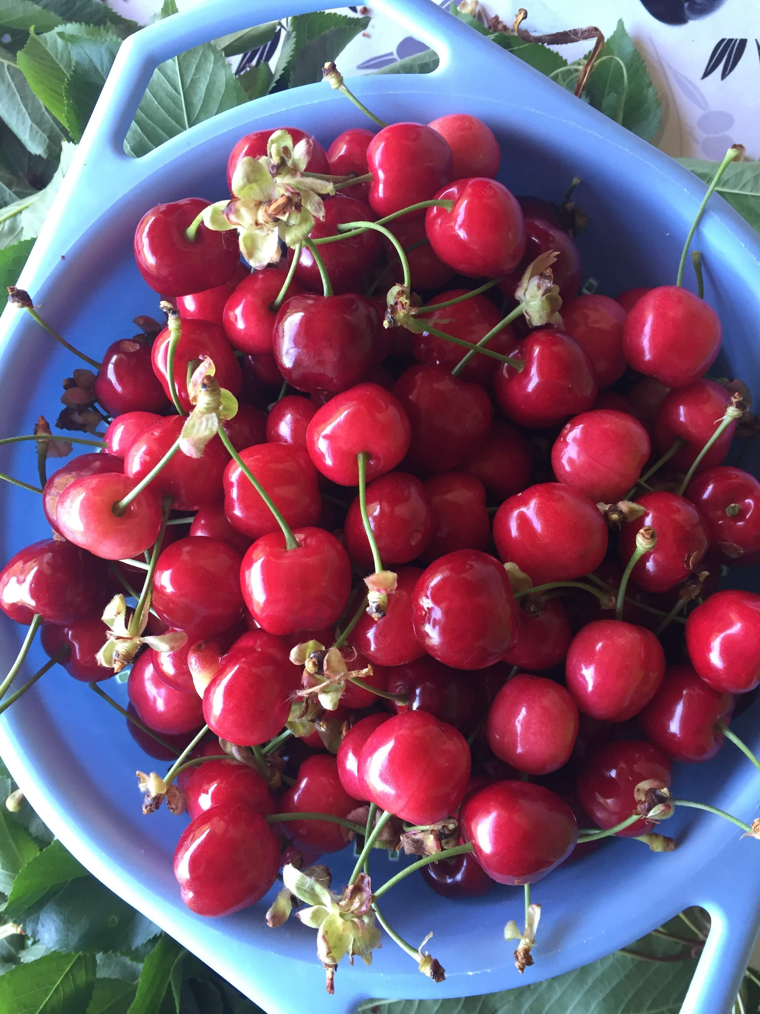 Photo n° 10 de l'avis de Catherine.o fait le 27/05/2019 à 05:25