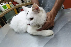 Hari Pet Clinic & Surgery image
