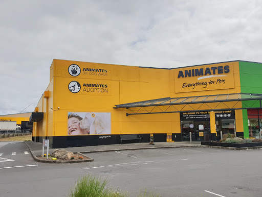 Places to buy a hamster in Auckland