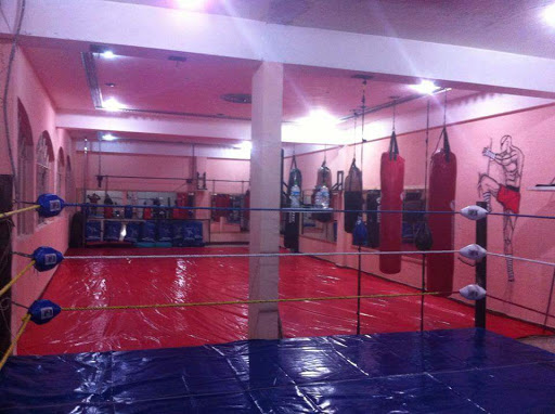 Escuela de karate Ciudad López Mateos