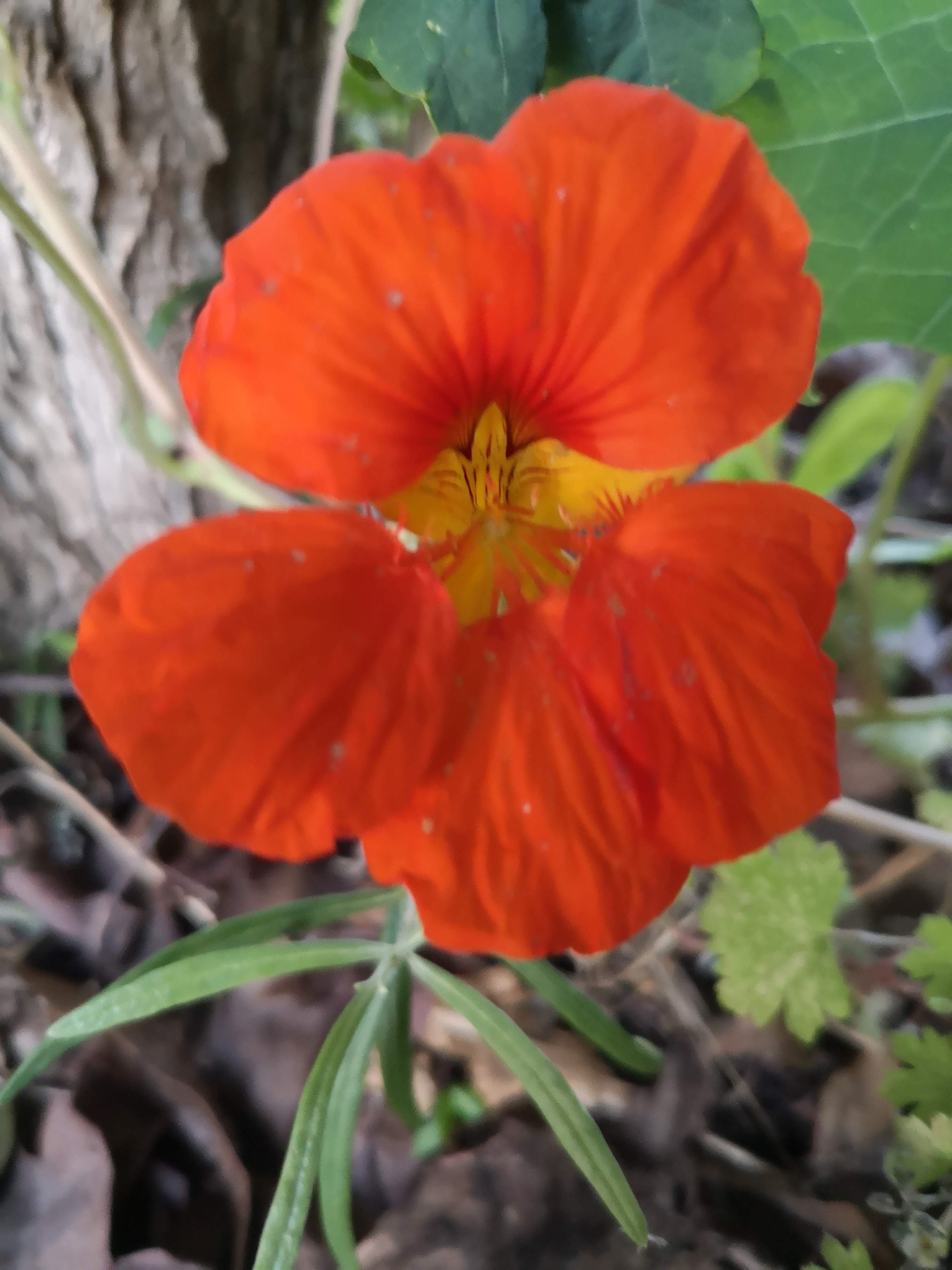Photo n° 1 de l'avis de Emmanuelle.o fait le 17/07/2019 à 14:23