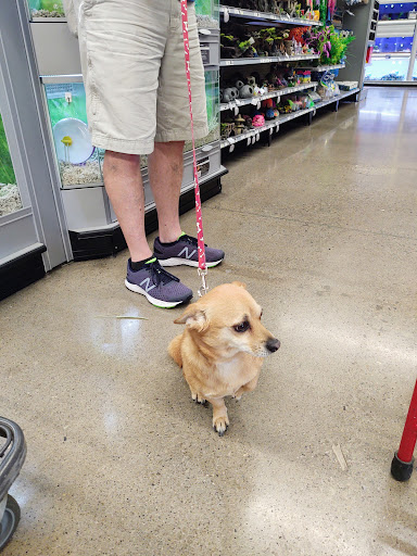 Pet Store «PetSmart», reviews and photos, 3957 Vineyard Dr, Dunkirk, NY 14048, USA