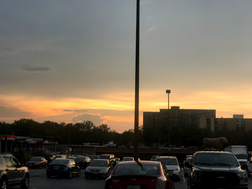 Supermarket «Bestway», reviews and photos, 9145 Riggs Rd, Hyattsville, MD 20783, USA